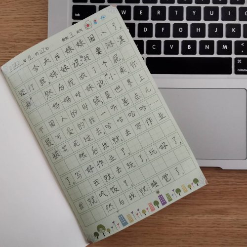 安安的第一篇日记