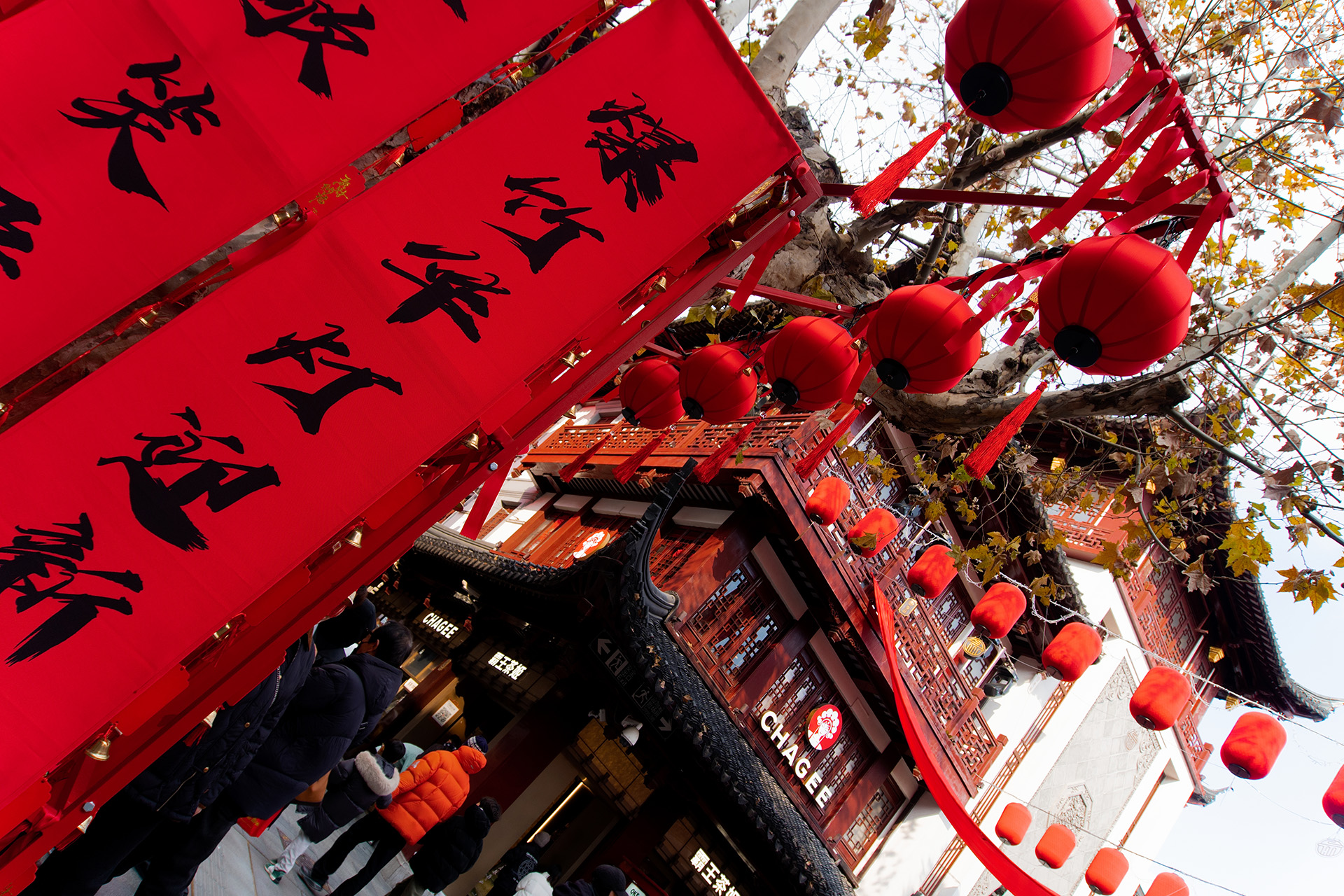 二〇二六年一月总结：随便写写正如我的心情